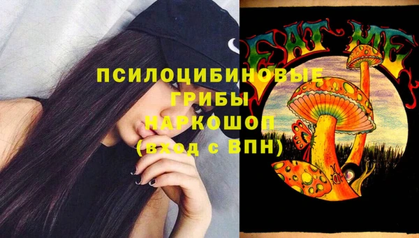 индика Алексеевка