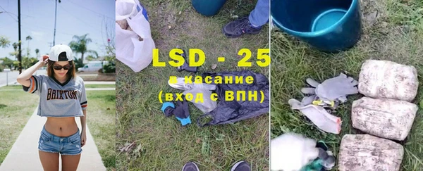 индика Алексеевка