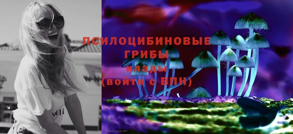 прущая мука Алзамай