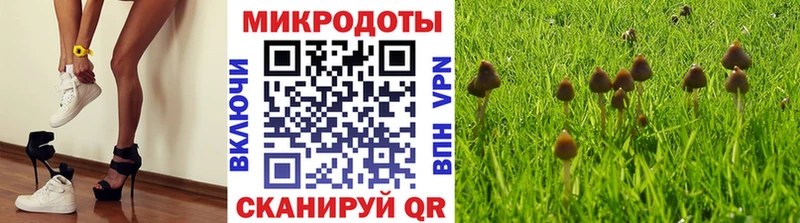 Псилоцибиновые грибы мухоморы  mega ТОР  Феодосия 