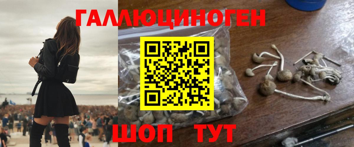 Псилоцибиновые грибы прущие грибы Феодосия