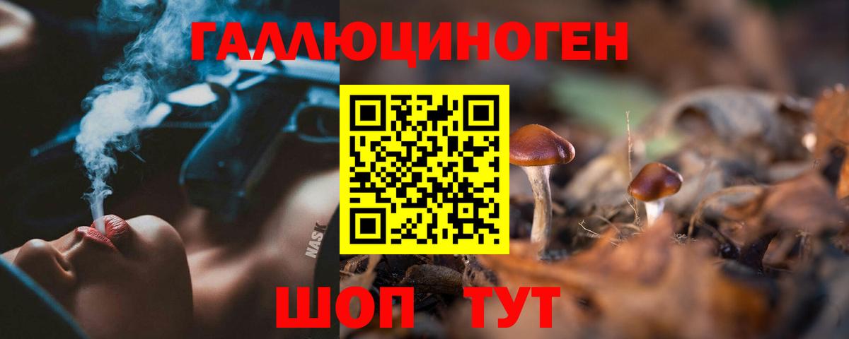 Галлюциногенные грибы прущие грибы  Вход с VPN  Феодосия 